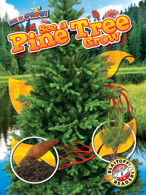cover image of See a Pine Tree Grow
